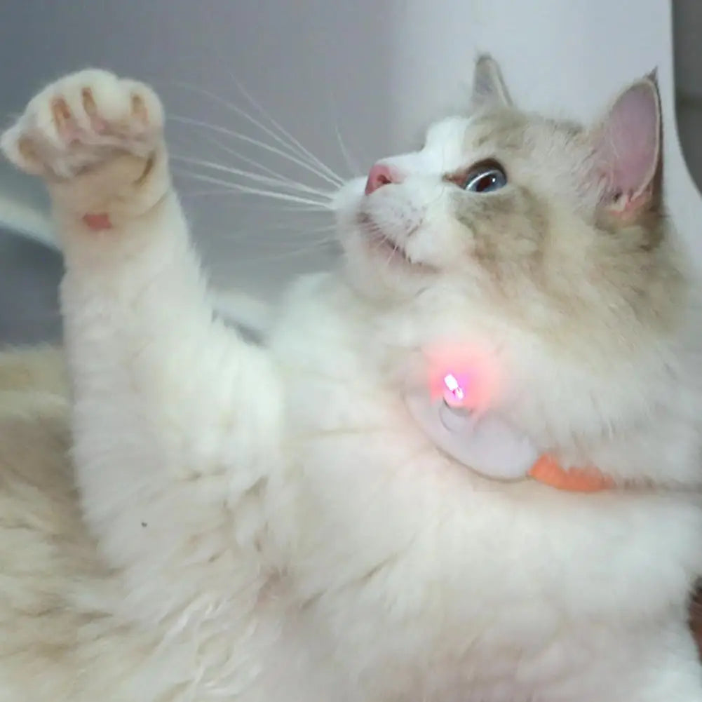 Tragbares automatisches Katzenspielzeug mit Lichtpunkt, interaktivem Selbstunterhaltungslaser, Katzenhalsband zum Necken mit Laser, für Hauskatzen